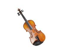 Violín Violín Acústico Profesional Con Arco De Palo Brasil Y Accesorios Ébano Hecho A Mano(1/2)