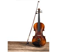 Violín Violín Examen profesional Práctica para principiantes Violines de madera maciza hechos a mano (Color : 4/4)