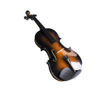 violines Violín Hardcase Arco Colorido Violín Acústico 4/4 Arce Violín Diapasón Material Madera Dura