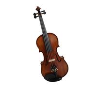 Violines Violín vintage artesanal profesional con un sonido hermoso