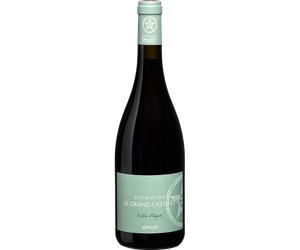 Violon d'Ingres Rouge 2025 - Domaine le Grand Castelet