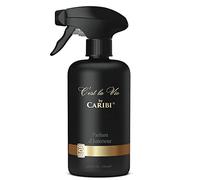 VIP Ces't La Vie - Fragancia interior para coche, hogar, oficina