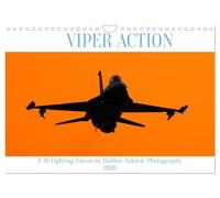 VIPER ACTION - F-16 FIGHTING FALCON (Wandkalender 2026 DIN A4 quer), CALVENDO Monatskalender: Einer der besten Kampflugzeuge der letzten 50 Jahre