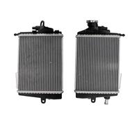 VIPIH Radiator Cooling Engine Cooler Fit para BMW R1300GS 2024-2025