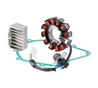 VIPIH Stator & Regulator Rectifier Gasket para Honda Future 125 AFS125M 2012-2015