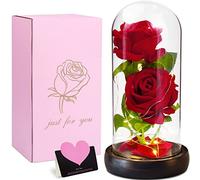 VIPNAJI Rosa Bella y Bestia con Luces Led, Rosa Eterna, Cupula de Cristal con Pétalos Caidos y Base de Madera,Decoración Hogar, Regalos para Mujer San Valentin Dia de la Madre, Aniversario Cumpleaño