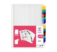 Viquel 154316-04 - Funda clasificadora (12 posiciones, A4), transparente