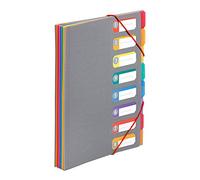Viquel - Archivador de documentos A4 con 8 compartimentos Rainbow Touch