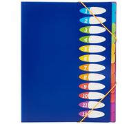 Viquel - Carpeta fuelle (12 compartimentos, polipropileno, colores neón)
