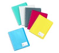 Viquel Geode - Carpeta de documentos con fundas extraíbles - 12 - Carpetas A4 de plástico - Encuadernación de 40 vistas (20 bolsillos) - Surtido de 6 colores