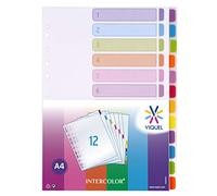 Viquel - Juego de 12 separadores de polipropileno, tamaño A4,