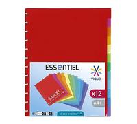 Viquel - Lote de 12 separadores Maxi A4 con perforación especial para puerta de vista GEODE con bolsillos extraíbles