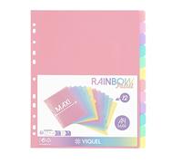 Viquel Rainbow Pastel - Lote de 12 separadores de plástico (24,5 x 30,5 cm), para carpeta A4 Maxi formato o carpeta de palanca, color pastel
