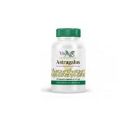 Viridian Jenjibre Raiz Bio 400 mg 30 caps