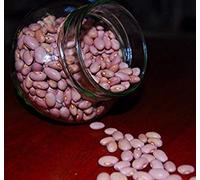 Virtue 100 PINK BEANS SEEDS, Habichuelas Rosadas, Popular in Caribbean countries