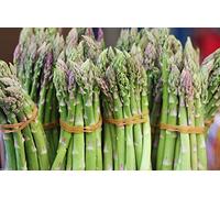 Virtue ASPARAGUS SEEDS, (Mary Washingto) 400 Organic, Heirloom Seeds~Perennial