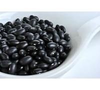Virtue Beans Black Turtle, Organically Grown (300 Seeds) High protein, Free of GMO's