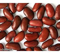 Virtue Kidney Bean, Large Dark Red, 200 Seeds, Non-gmo Heirloom Grown Organically