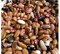 Virtue Pebble Beans - 20 Seeds - Different Beans, One Plant!