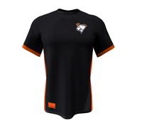 Virtus.pro - player jersey sponsor, s