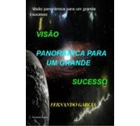 Visão Panorâmica Para Um Grande Sucesso (ebook)