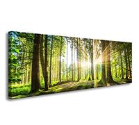 Visario 120 x 40 cm Cuadro Bosque Verde 5730