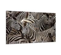 Visario 5104 - Lienzo (150 x 90 cm, listo para colgarse), diseño de cebras, color blanco y negro