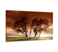 Visario Cuadro en Lienzo 120 x 80 cm Nr. 5025 Sol árbol Enmarcado y Listo para Colgar, Calidad de la Marca