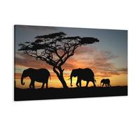 Visario Cuadro en Lienzo 120 x 80 cm Nr. 5066 los Animales Enmarcado y Listo para Colgar, Calidad de la Marca