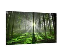 Visario Cuadro en Lienzo 120 x 80 cm Nr. 5130 árboles Enmarcado y Listo para Colgar, Calidad de la Marca