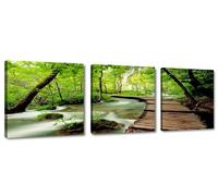 Visario Cuadros en Lienzo 150 x 50 cm Nr. 4216 Naturaleza Enmarcado y Listo para Colgar, Calidad de la Marca