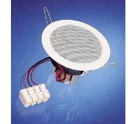 Visaton DL 8 100 Voltios Altavoces de Techo Weißübertrager