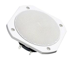 Visaton FRS 10 WP - Altavoz integrado de 25W para TR 84, blanco