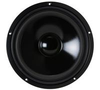 Visaton VSW250S4 Altavoz 100W