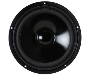 Visaton VSW250S4 Altavoz 100W