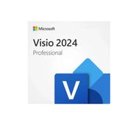 Visio Professional 2024 (compatible con Office 365)