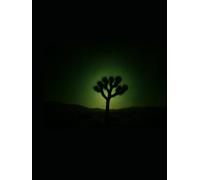 Vision in the Dust: Art, photography and poems from the desert's edge