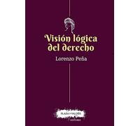 VISIÓN LÓGICA DEL DERECHO.: Una defensa del racionalismo jurídico (PLAZA Y VALDES)
