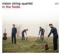 Vision String Quartet - In the Fields (180g Black Vinyl) [Vinilo]