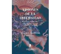 Visiones De La Diversidad (ebook)