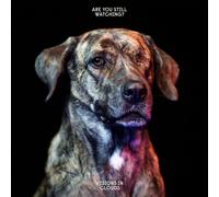 Visions In Clouds - Visions In Clouds: Are You Still Watching [CD]