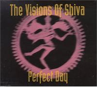Visions of Shiva - Perfect Day
