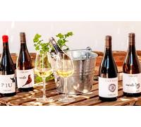 Visita a bodega de 1 hora y media con cata de vino para 4 personas