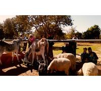 Visita a granja escuela para 8 personas