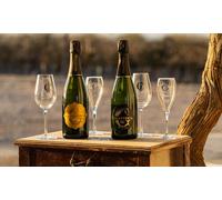 Visita a viñedo y cata de 5 vinos con almuerzo 2 personas