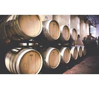 Visita bodega con cata de 3 vinos y aperitivos para 6 personas