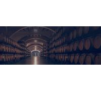 Visita de la bodega para 4 personas con cata de 3 vinos y maridaje