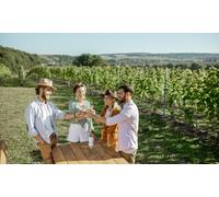 Visita guiada a la bodega y cata de 8 vinos para 4 personas