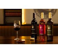 Visita guiada y cata de vinos: Para 4 personas