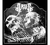 Visitant [Vinilo]